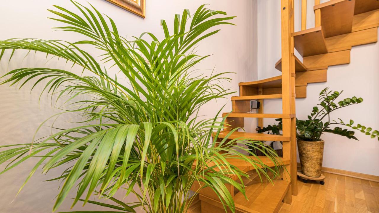 Maya'S Flats & Resorts - Old Town Dluga 72 Maisonette Gdansk Ngoại thất bức ảnh